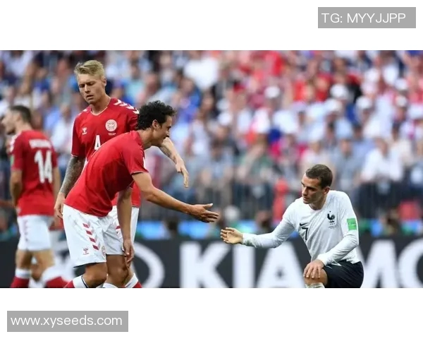 丹麦与法国足球对决分析及澳客网赔率预测